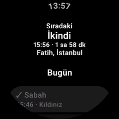 Google Play — Wear OS ekran görüntüsü 1