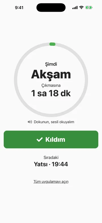 Sade görünüm